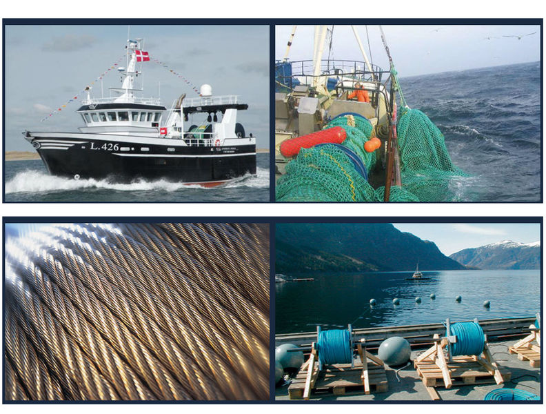 Chongqing Honghao Technology Co., Ltd.