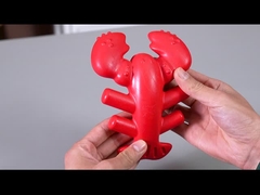 보스턴 호박 개 씹기 장난감