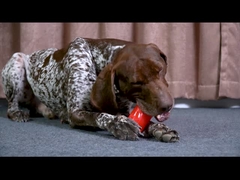 현실적 인 갈비뼈 씹는 장난감 - 세 배 厚고 소리 를 내는 호기심 을 주는 스틱