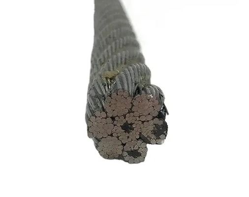 주문 10mm 등급 스틸 스테인리스 스틸 와이어 로프와 19x7 밸런제 강도 및 내구성 online manufacture