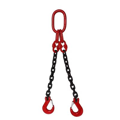 주문 블랙 린드 G80 2 두 다리 크레인 승강장물 처리 솔루션 online manufacture