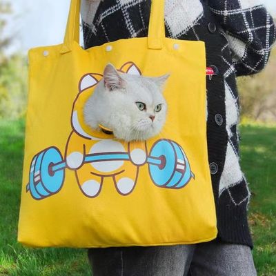 좋은 가격 작은 개와 고양이를위한 귀여운 내구성 애완 동물 휴대 가방 재미 인쇄 캔버스, 여행 친화적 온라인으로
