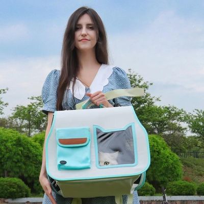 좋은 가격 투명 창문 을 가진 여행용 접이식 애완동물 배낭 온라인으로